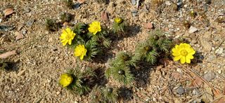 남궁봉님의 자유주제·사진전 작성글 사진