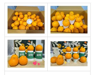 새달귤농장님의 작성글 사진