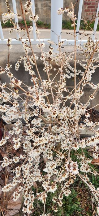 하은와송~♡♡♡~님의 자유주제 · 자유게시판 작성글 사진