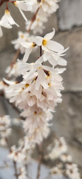 하은와송~♡♡♡~님의 자유주제 · 자유게시판 작성글 사진