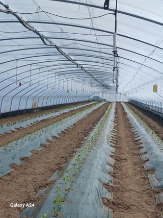 삼부자님의 자유주제 · 자유게시판 작성글 사진