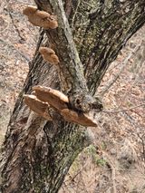 팜모닝 자유주제·자유게시판 게시글 이미지