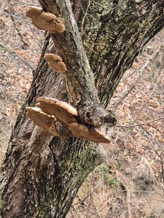 들깨9855님의 자유주제 · 자유게시판 작성글 사진