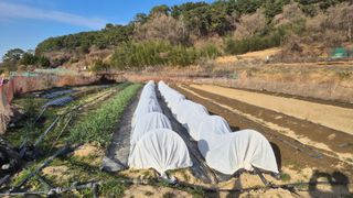 김형준님의 자유주제 · 자유게시판 작성글 사진