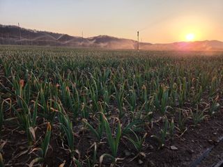 김태혁님의 자유주제 · 자유게시판 작성글 사진