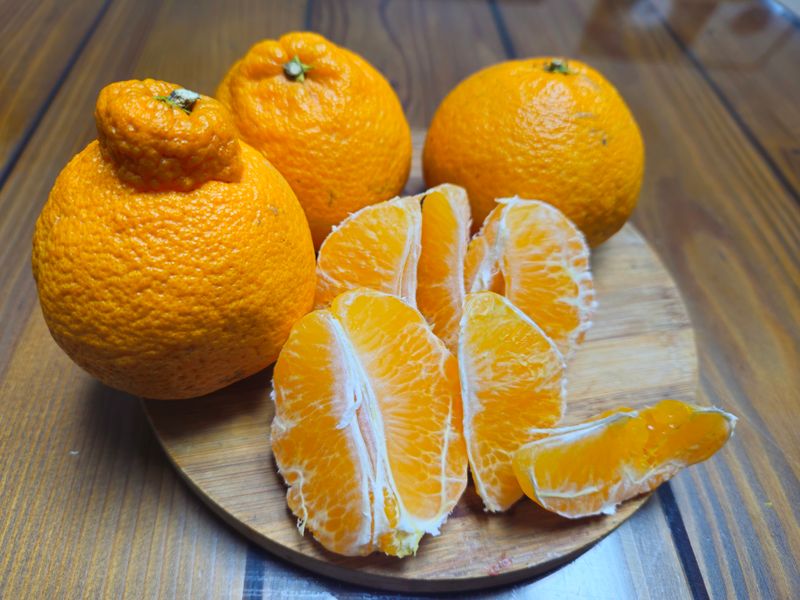 새달귤농장님의 장터 판매 상품 [꼬마노지한라봉 9키로] 첨부 사진