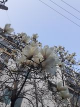 주흘산인님의 자유주제·자유게시판 작성글 사진