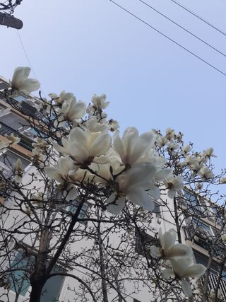 주흘산인님의 자유주제 · 자유게시판 작성글 사진