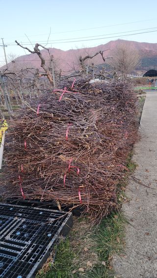 유혜영님의 자유주제 · 자유게시판 작성글 사진