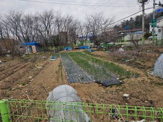 청산거사님의 자유주제 · 사진전 작성글 사진