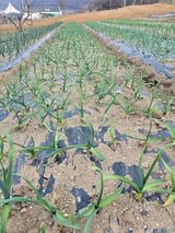 정태권님의 자유주제·자유게시판 작성글 사진