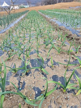 정태권님의 자유주제 · 자유게시판 작성글 사진