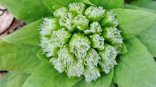 이정운님의 자유주제 · 자유게시판 작성글 사진