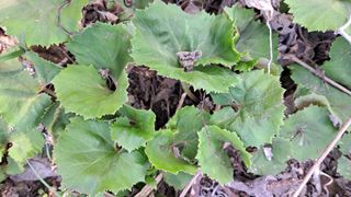 이정운님의 자유주제 · 자유게시판 작성글 사진