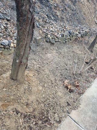 김용대님의 자유주제 · 자유게시판 작성글 사진