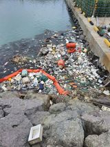 팜모닝 자유주제·자유게시판 게시글 이미지