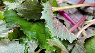 이정운님의 자유주제 · 자유게시판 작성글 사진