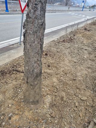 김용대님의 자유주제 · 자유게시판 작성글 사진