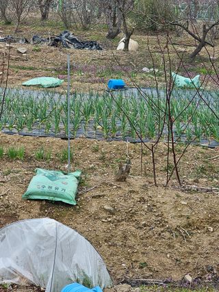 청산거사님의 자유주제 · 사진전 작성글 사진