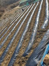 팜모닝 자유주제·자유게시판 게시글 이미지