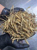 팜모닝 · 게시글 이미지