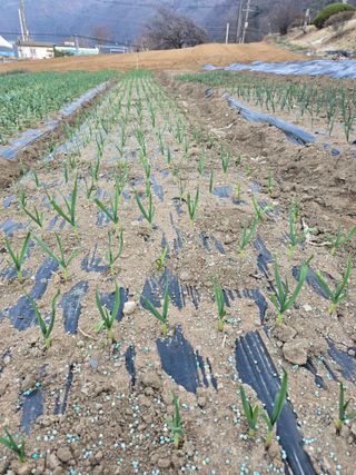 정태권님의 자유주제 · 자유게시판 작성글 사진