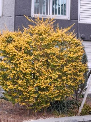 MSG0074님의 자유주제 · 자유게시판 작성글 사진