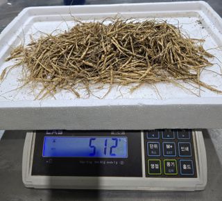 진상빈님의 작성글 사진