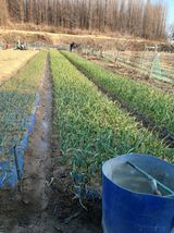 팜모닝 자유주제·자유게시판 게시글 이미지