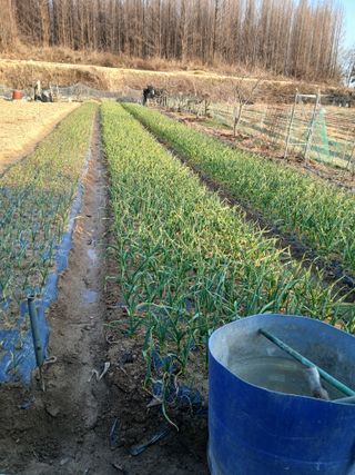 서병일님의 자유주제·자유게시판 작성글 사진