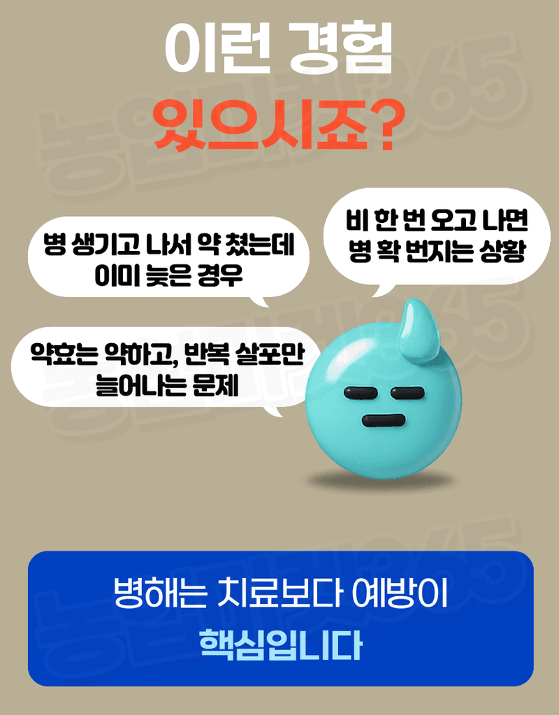 농업마켓365님의 장터 판매 상품 [대유 보르도스타 1KG 입상수화제 동제 보르도 병해관리제 친환경 유기농자재] 첨부 사진