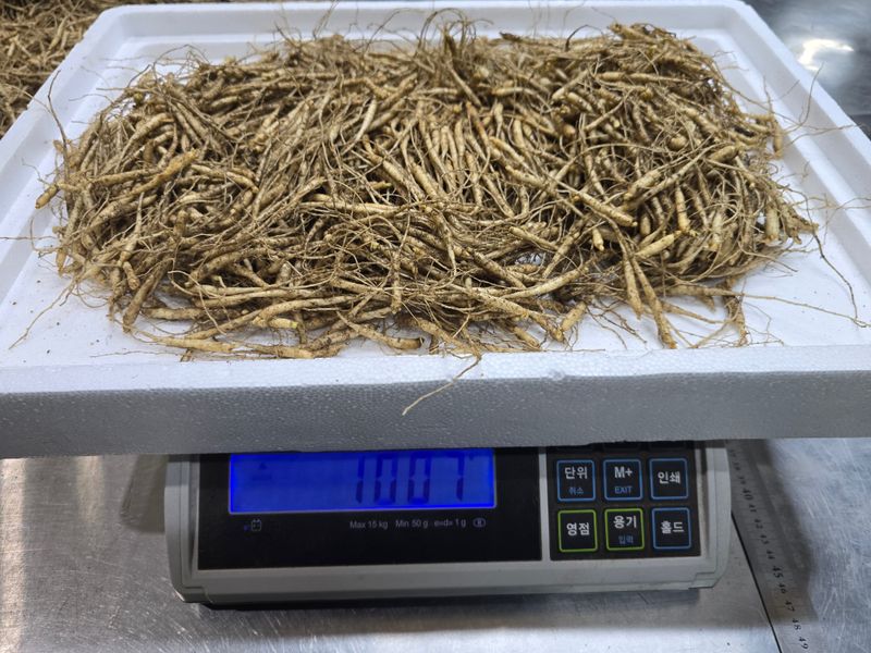 진상빈님의 장터 판매 상품 [오늘 캔 햇묘종삼 200g/500g/1kg] 첨부 사진