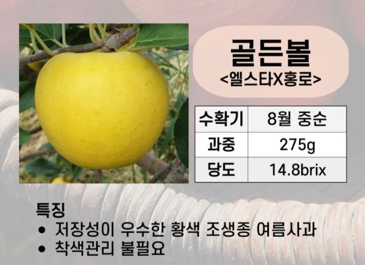 우리농원님의 장터 판매 상품 [사과 자근묘목 판매 마지막 물량] 첨부 사진