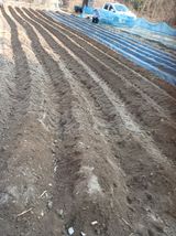 팜모닝 자유주제·자유게시판 게시글 이미지