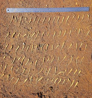 진상빈님의 작성글 사진