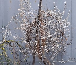 MSG0074님의 자유주제 · 자유게시판 작성글 사진