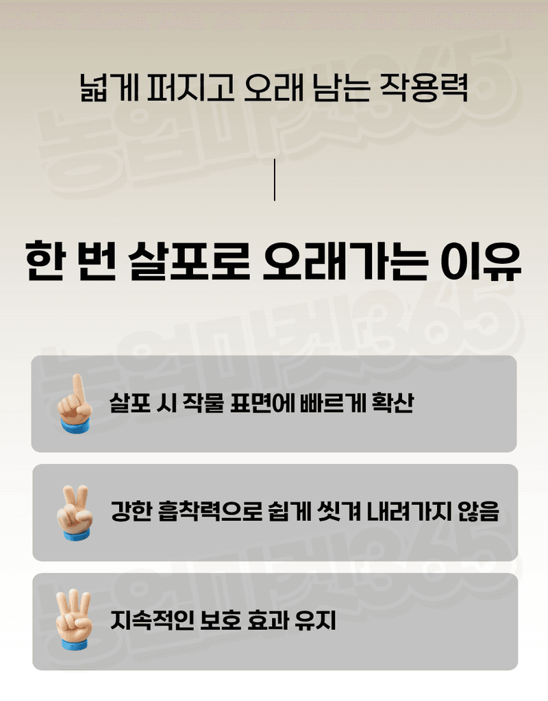 농업마켓365님의 장터 판매 상품 [대유 보르도스타 1KG 입상수화제 동제 보르도 병해관리제 친환경 유기농자재] 첨부 사진