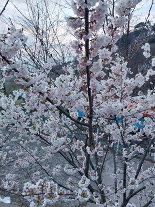 김정석님의 자유주제·자유게시판 작성글 사진