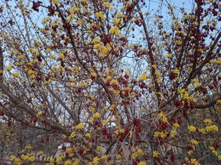 철남 김희곤님의 자유주제 · 자유게시판 작성글 사진