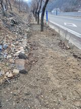 팜모닝 자유주제·자유게시판 게시글 이미지