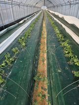 팜모닝 자유주제·자유게시판 게시글 이미지