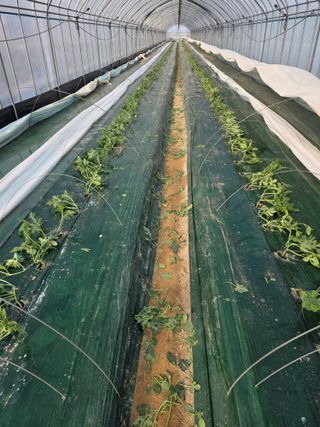 최대석님의 자유주제 · 자유게시판 작성글 사진