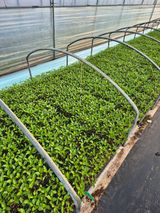 김영진(전남영광)님의 자유주제·자유게시판 작성글 사진