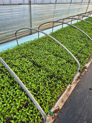 김영진(전남영광)님의 자유주제 · 자유게시판 작성글 사진