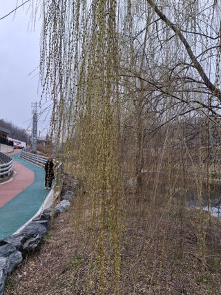 MSG0074님의 자유주제 · 자유게시판 작성글 사진