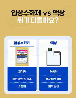농업마켓365님의 작성글 사진