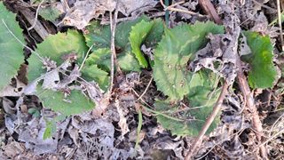 이정운님의 자유주제 · 자유게시판 작성글 사진