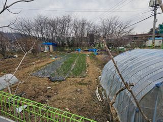 청산거사님의 자유주제·사진전 작성글 사진