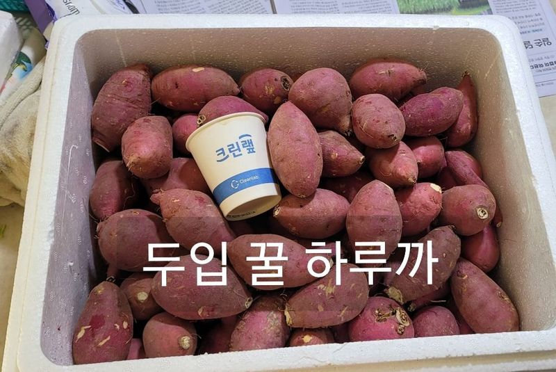 사랑꽃농장님의 장터 판매 상품 [  특) 꿀 이찌 하루까 판매10kg] 첨부 사진