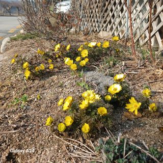블루베리6616님의 자유주제·자유게시판 작성글 사진